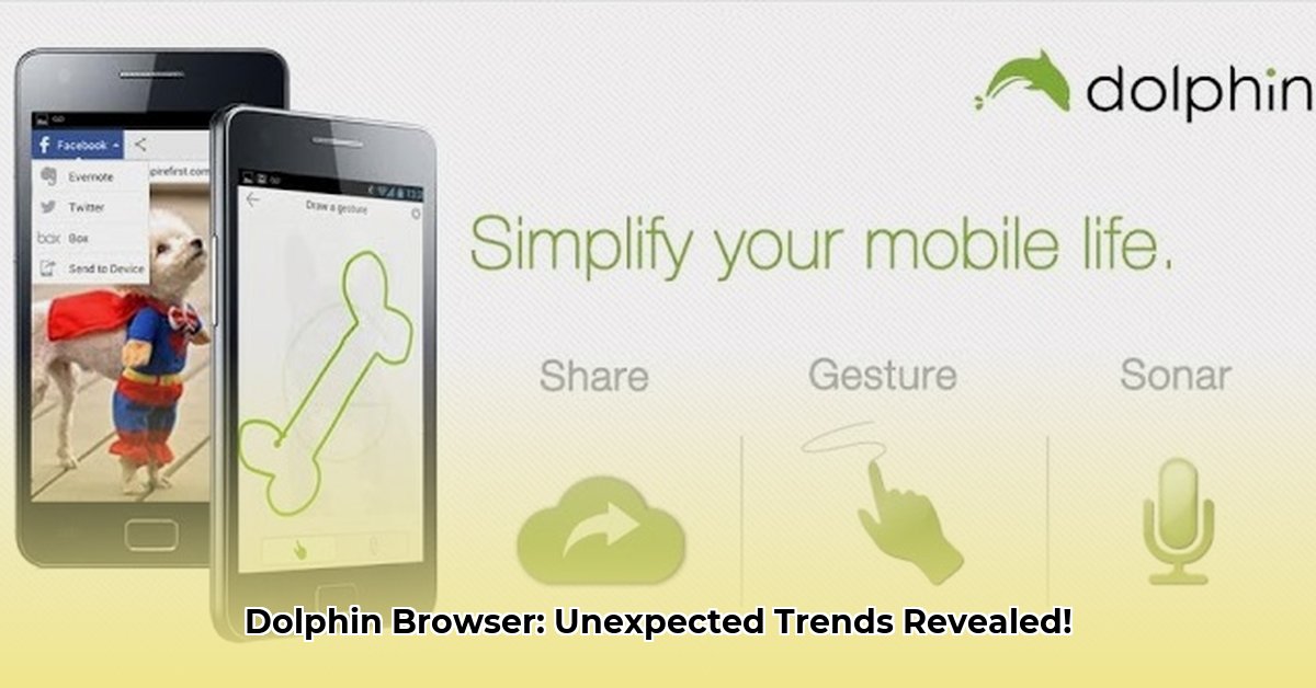 dolphin-browser-apk